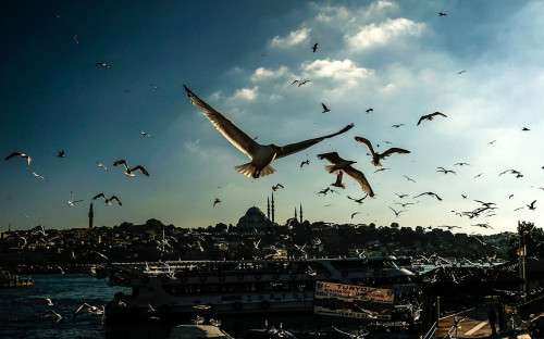 Турбизнес назвал курорты, которые могут россиянам заменить Турцию