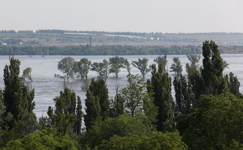 Тысячи животных погибли в нацпарке из-за повреждения Каховской ГЭС