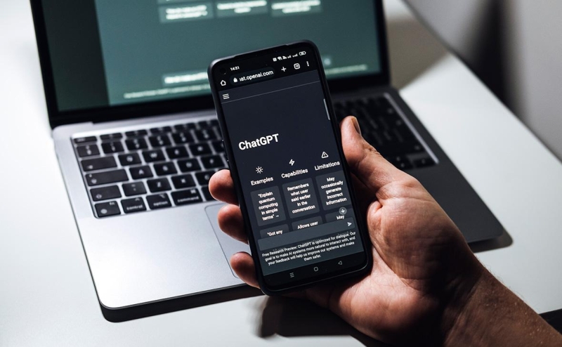 У нейросети от Meta нашли те&nbsp;же ошибки, что и у чат-бота Gemini от