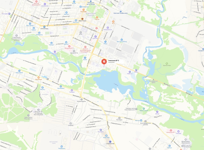 Ученица устроила стрельбу в брянской школе