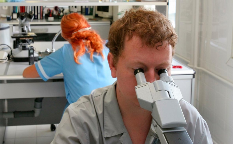 Ученые нашли у летучих мышей новый вирус Salt Gully