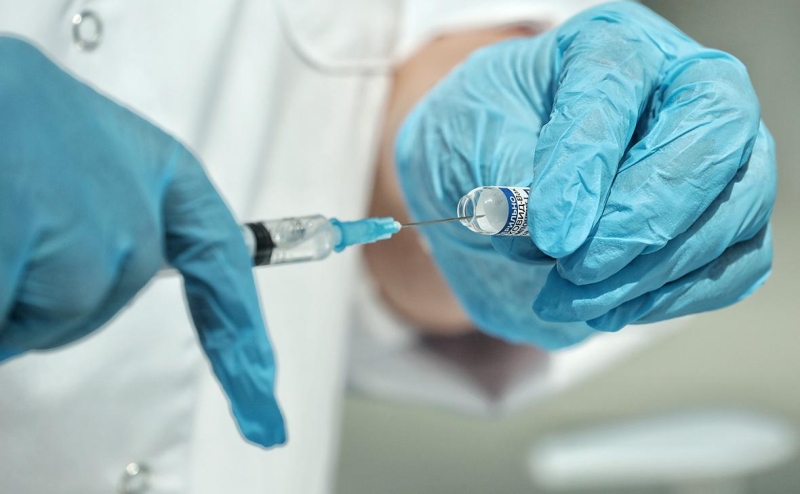 Ученые назвали место, откуда началась пандемия коронавируса