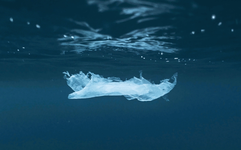 Ученые обнаружили угрозу здоровью в воде в пластиковых бутылках