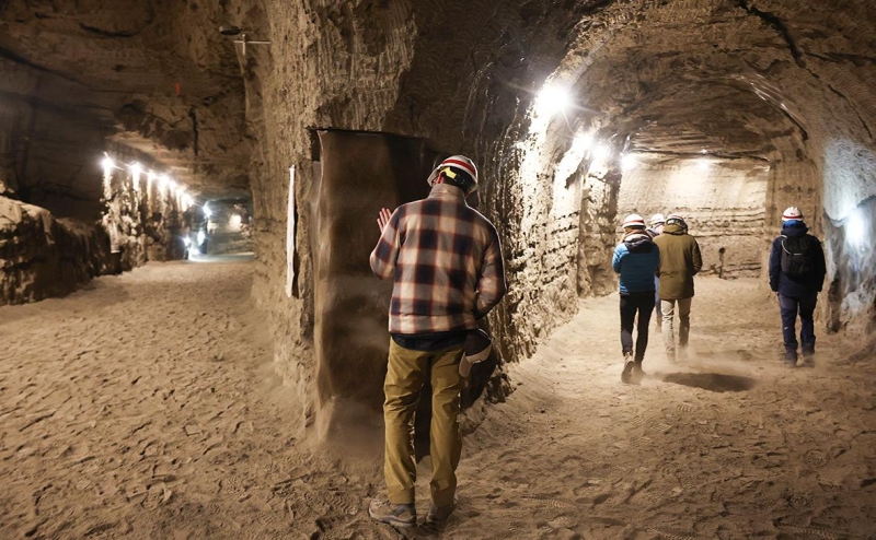 Ученые оценили риск пандемии из-за «зомби-вирусов»