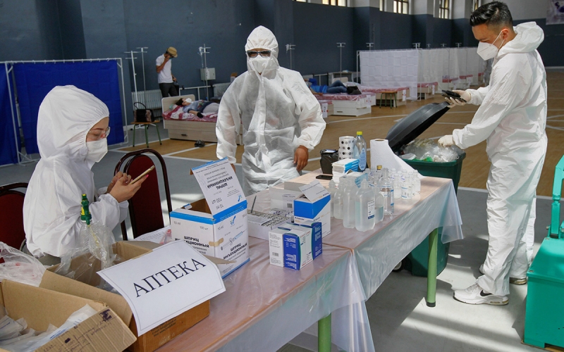 Ученые оценили сообщение об эффективности яда гадюк против COVID-19