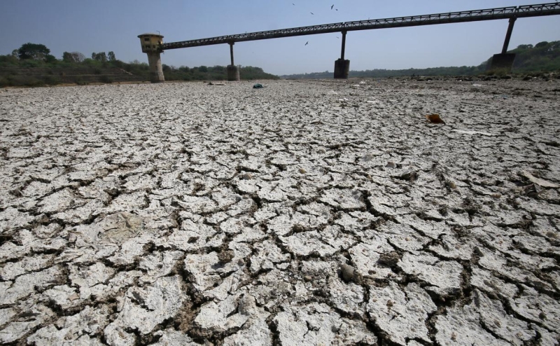 Ученые предупредили о рекордной жаре в 2024 году