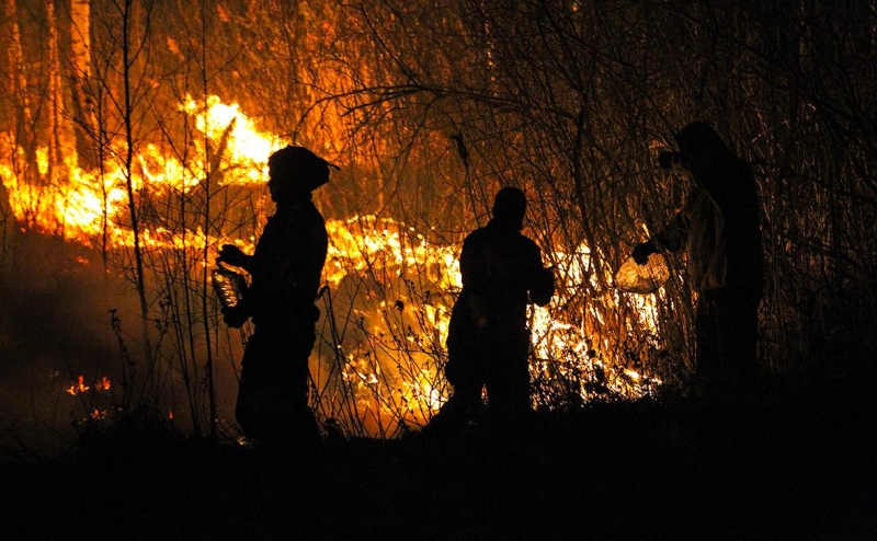 Ученые предупредили о снижении качества воздуха из-за пожаров в России