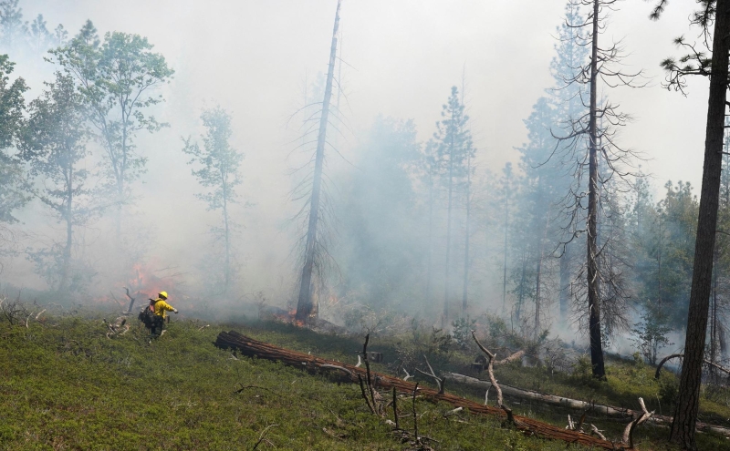 Ученые предупредили о снижении качества воздуха из-за пожаров в России