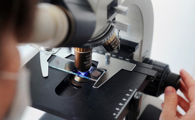 Ученые предупредили о «зомби-вирусах» из Сибири