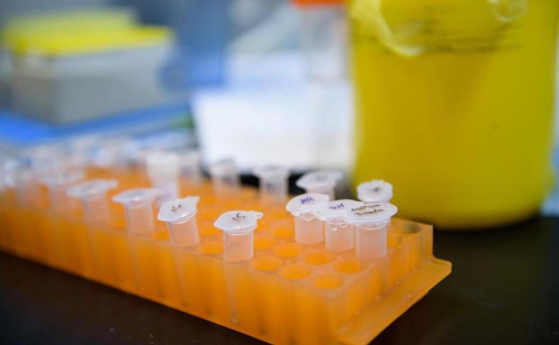 Ученые предупредили об опасных «побочках» новых препаратов от