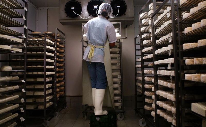 Ученые рассказали, как могут навсегда исчезнуть сыры камамбер и бри