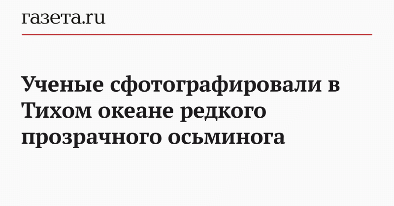 Ученые сфотографировали в Тихом океане редкого прозрачного осьминога