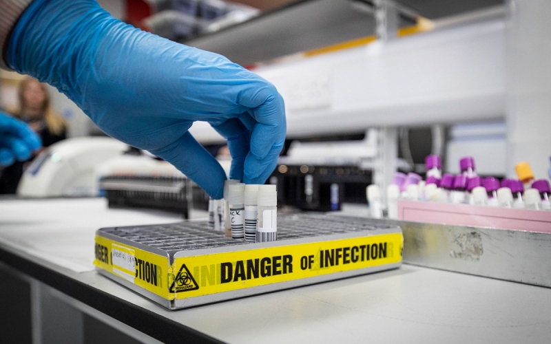 Ученые установили самого древнего предка коронавируса