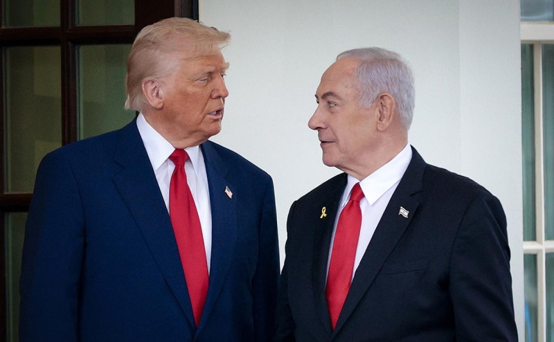 Уиткофф назвал, кем Трамп мог бы работать одновременно с