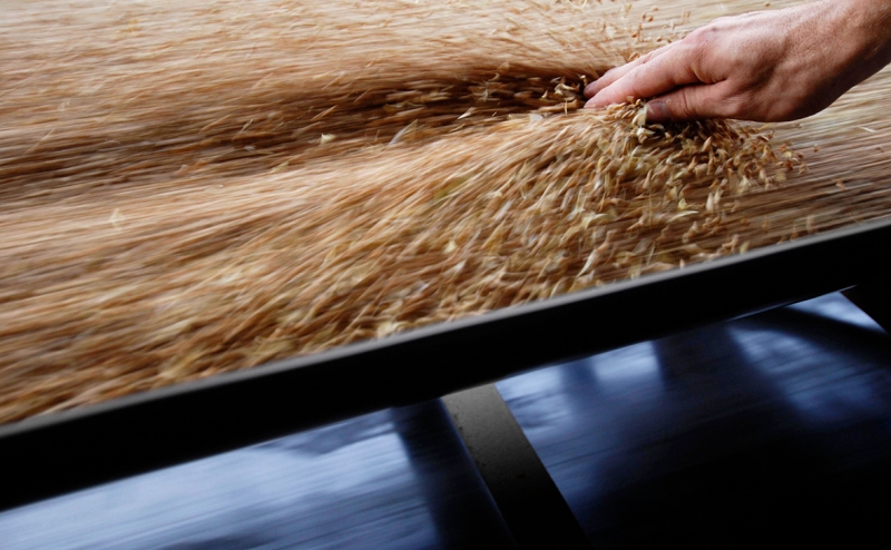 Украина потребовала от России гарантий безопасности для судов с зерном