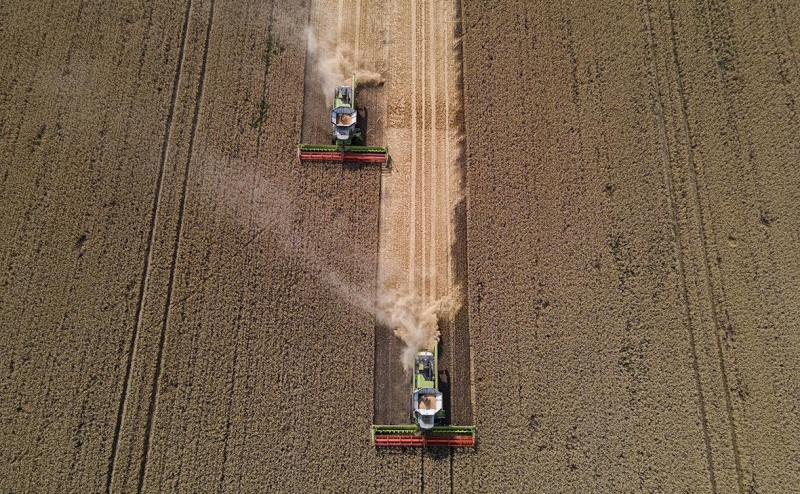 Украина пожаловалась в ВТО на запрет ввоза ее зерна в три страны ЕС