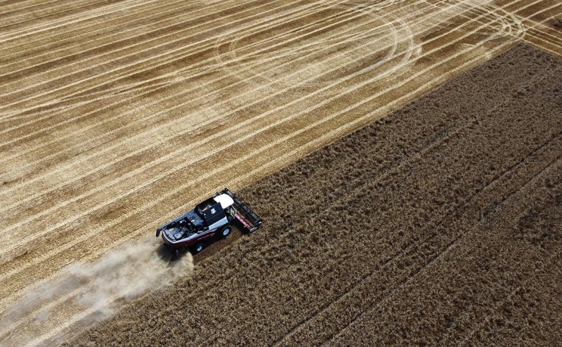 Украина сократит посевы на фоне выхода России из зерновой сделки