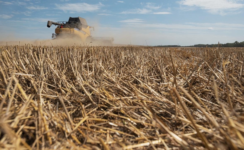 Украина сократит посевы на фоне выхода России из зерновой сделки