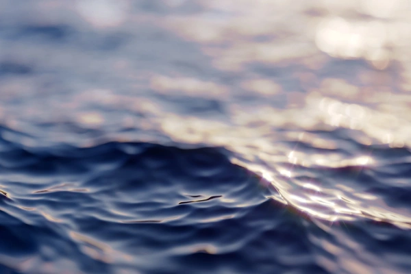 Украина в рамках обмена передала России 19 тел военных