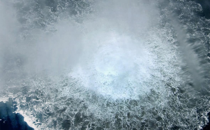 Украинский дайвер отвергла причастность к подрыву «Северных потоков»