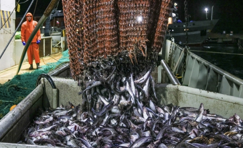 «УП» узнала о подготовке первой за три года масштабной ротации в ВСУ