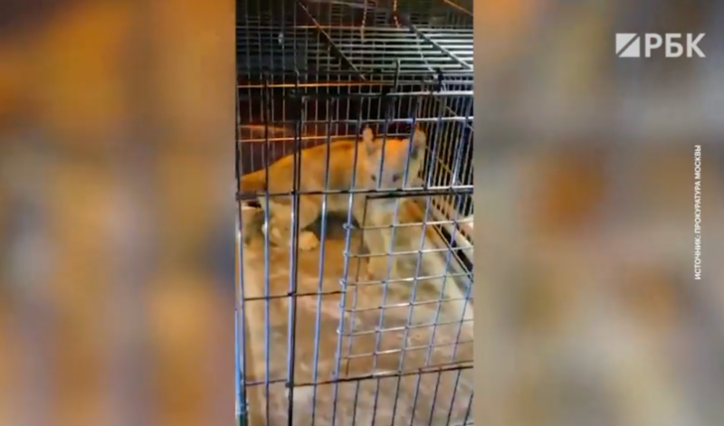 В Белгороде объявили ракетную опасность