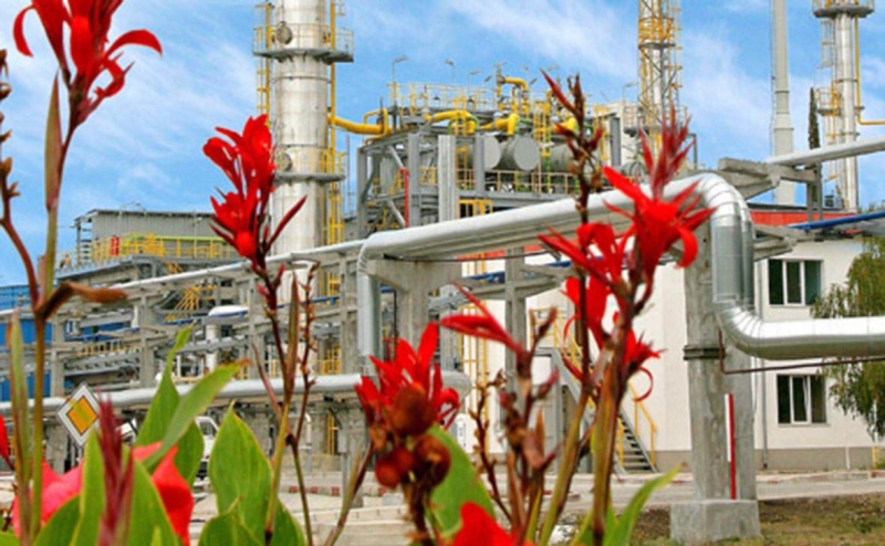 В Болгарии заявили об остатке бензина на месяц на фоне мер против