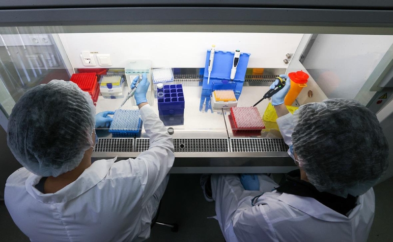 В Бразилии сообщили о первых жертвах лихорадки Оропуш