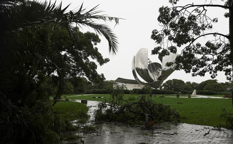 В Буэнос-Айресе ураган сломал символ города — железный цветок