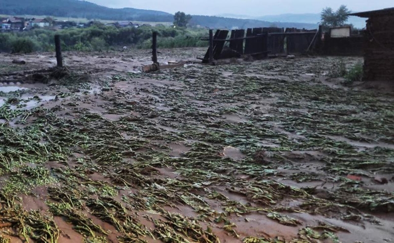 В Бурятии ввели режим ЧС