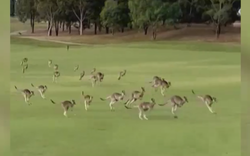 В Чехии сочли экс-премьера Бабиша угрозой из-за &laquo;пацифистских&raquo;