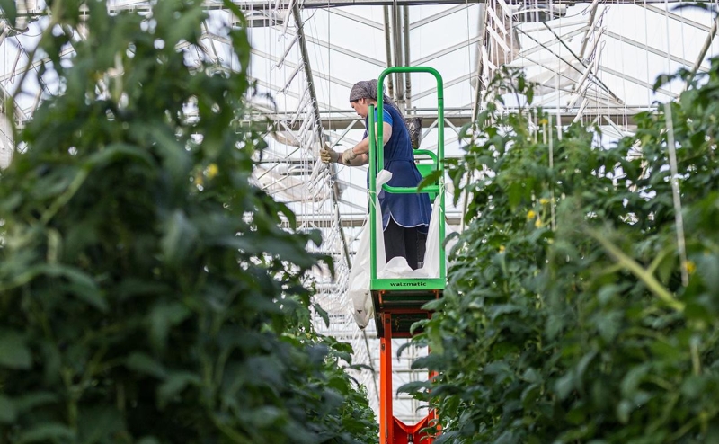 В ЦМАКП назвали топ специальностей с невостребованными выпускниками
