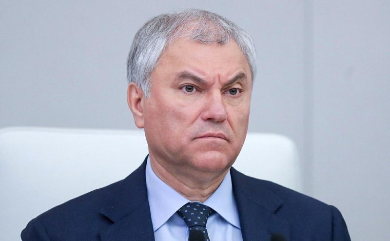 В Думу внесли пять законопроектов о миграции