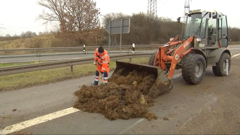 В Германии протестующие фермеры перекрыли трассу навозом. Видео