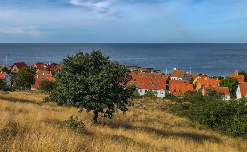 В Германии сообщили об украинском следе во взрывах на «Северных