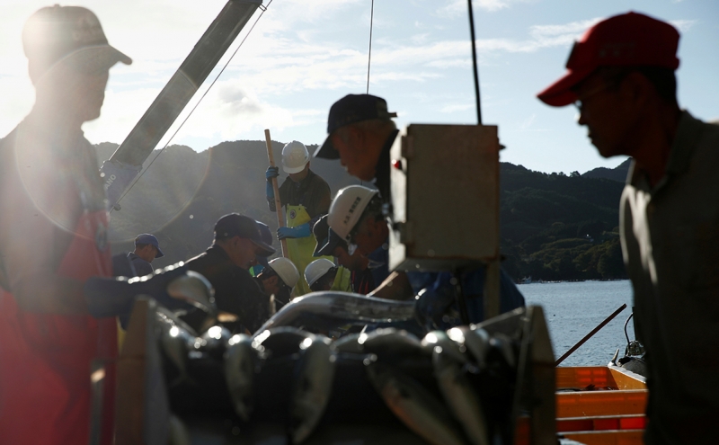 В Госдуме предложили назвать 3 сентября Днем победы над Японией