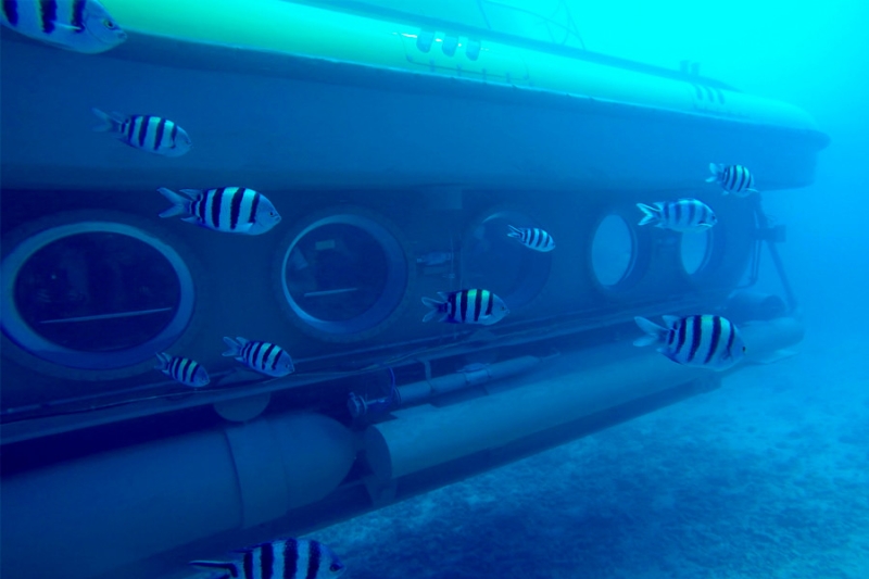 В Хургаде четыре российских туриста погибли во время тура на батискафе