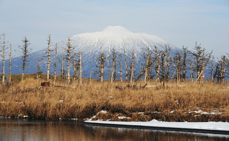В Японии заявили о курсе на заключение мирного договора с Россией