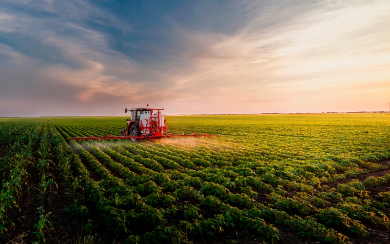 В Киеве назвали дату переговоров политсоветников «нормандской четверки»