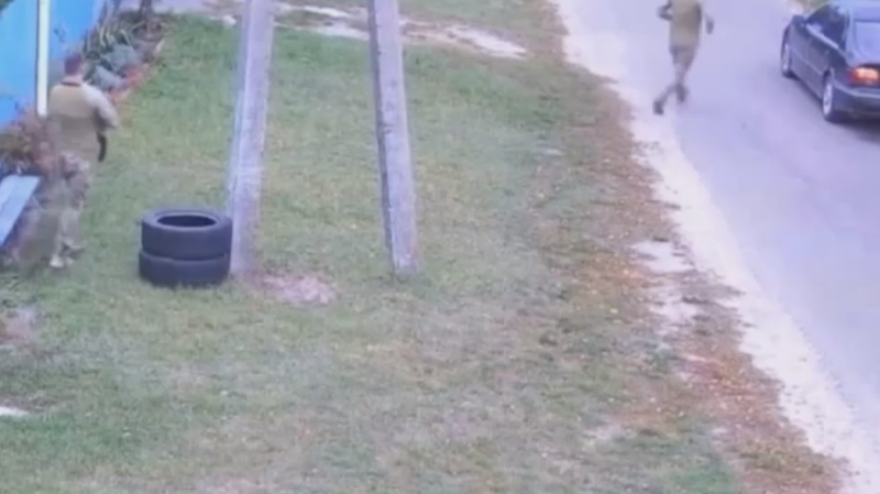 В Киеве отвергли обвинения в мобилизации кота