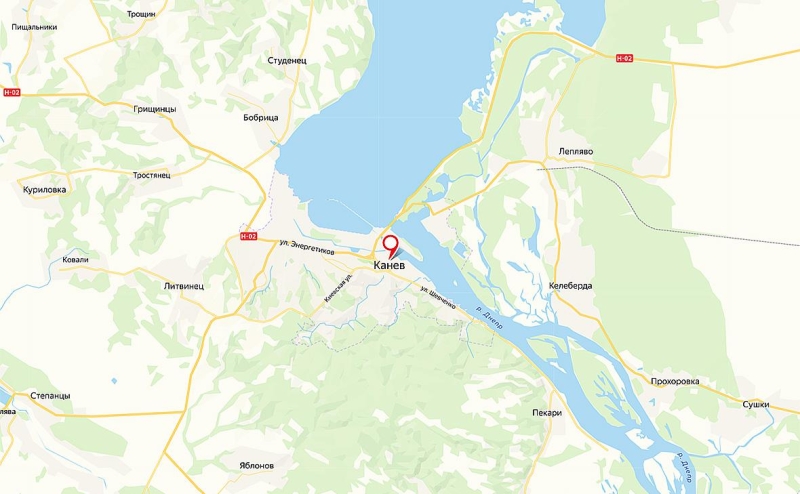 В Киеве отвергли обвинения в мобилизации кота