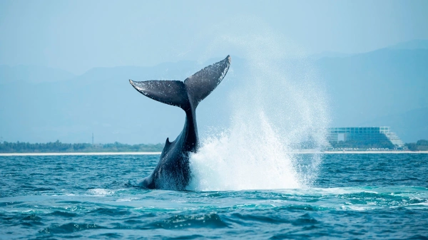 В Киеве заявили о желании украинцев увидеть мобилизацию чиновников