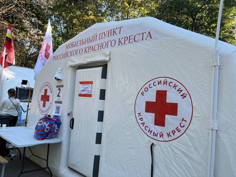 В Красном Кресте рассказали о поиске пропавших в Курской области