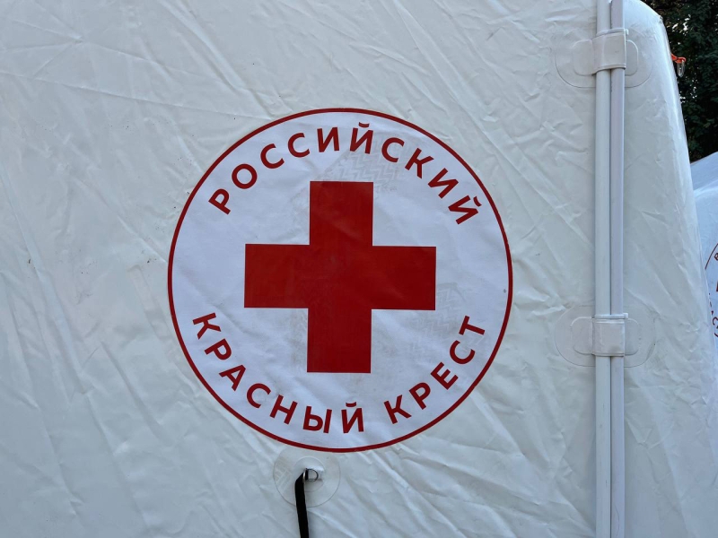 В Красном Кресте рассказали о поиске пропавших в Курской области