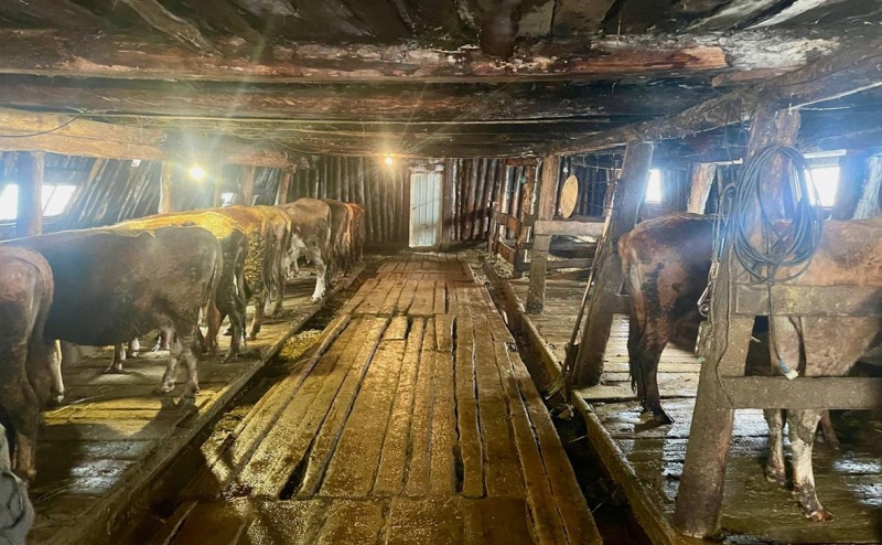 В Кузбассе освободили 8 человек, проживших 13 лет в рабстве