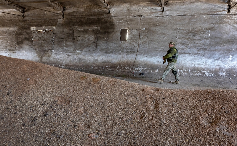 В ЛНР объявили о начале экспорта в Россию зерна по железной дороге