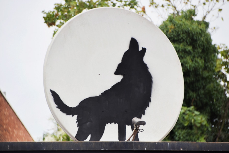 В Лондоне появилась седьмая за неделю работа Бэнкси