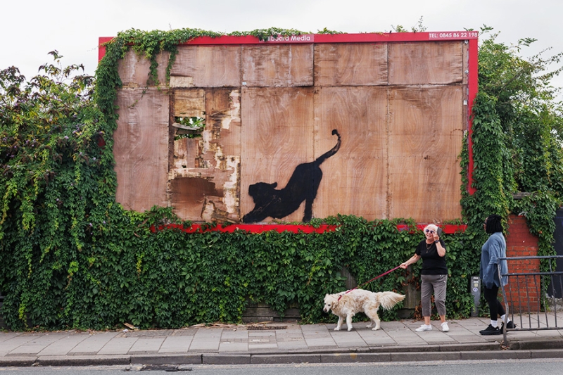 В Лондоне появилась седьмая за неделю работа Бэнкси