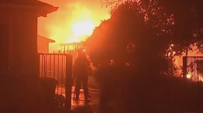 В Лос-Анджелесе бушуют лесные пожары. Видео