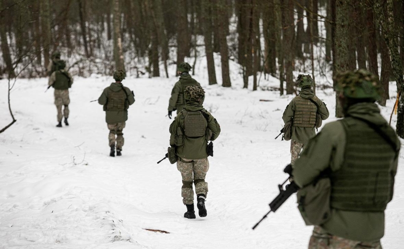 В МИД Литвы заявили об отмене красных линий по отправке войск на